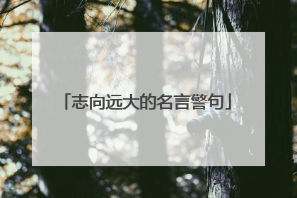 志向远大的名言警句