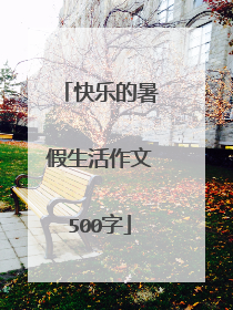 快乐的暑假生活作文500字