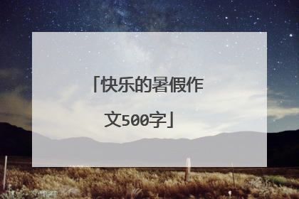 快乐的暑假作文500字