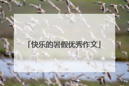 快乐的暑假优秀作文