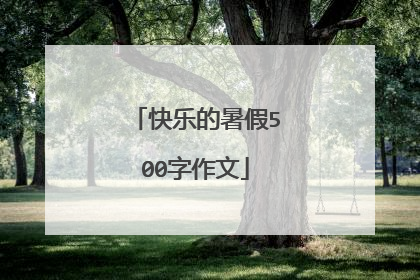 快乐的暑假500字作文
