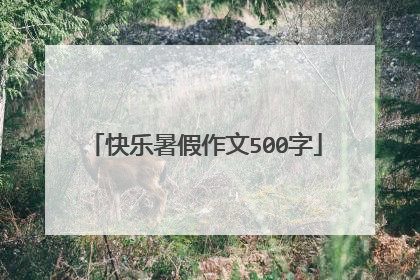 快乐暑假作文500字