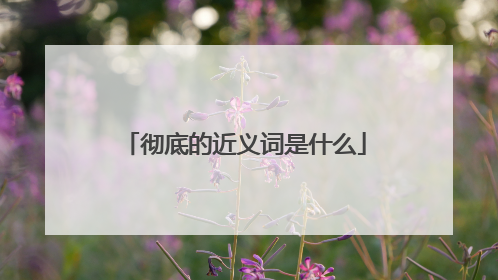 彻底的近义词是什么