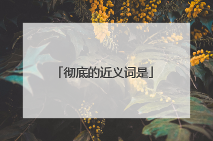 彻底的近义词是