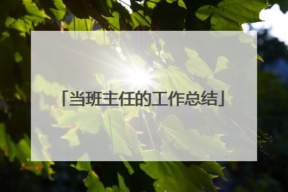 当班主任的工作总结