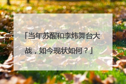 当年苏醒和李炜舞台大战，如今现状如何？