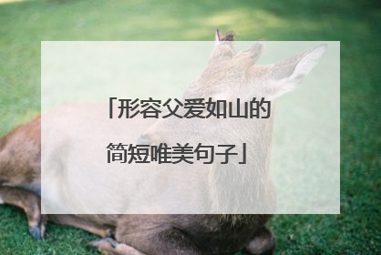 形容父爱如山的简短唯美句子