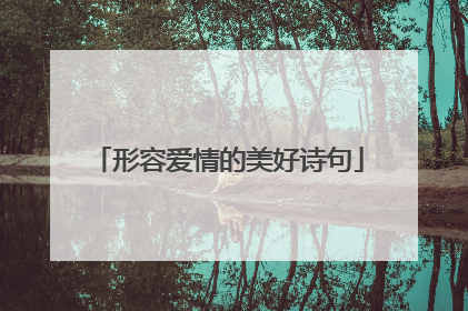 形容爱情的美好诗句