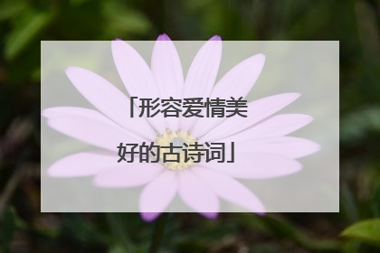 形容爱情美好的古诗词
