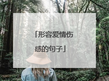 形容爱情伤感的句子