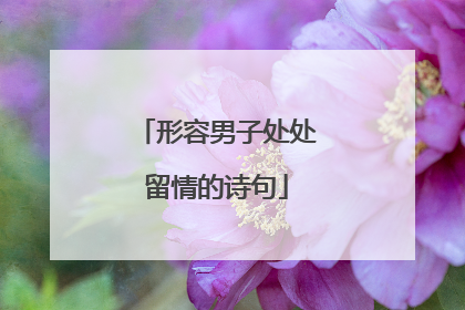 形容男子处处留情的诗句