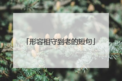形容相守到老的短句