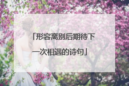 形容离别后期待下一次相遇的诗句
