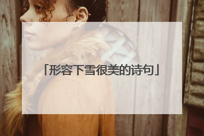 形容下雪很美的诗句