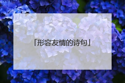 形容友情的诗句