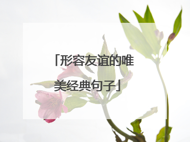 形容友谊的唯美经典句子