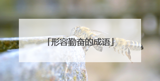 形容勤奋的成语