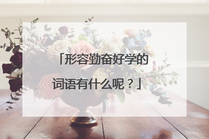 形容勤奋好学的词语有什么呢?