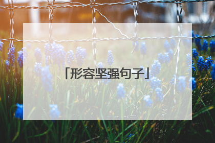 形容坚强句子