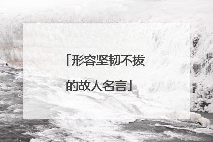 形容坚韧不拔的故人名言