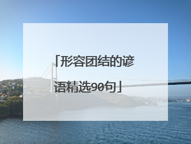 形容团结的谚语精选90句