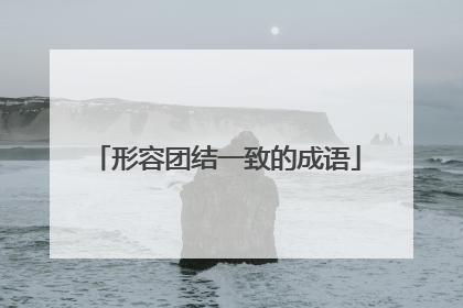 形容团结一致的成语