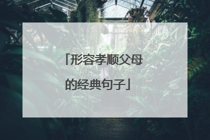 形容孝顺父母的经典句子
