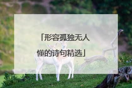 形容孤独无人懂的诗句精选