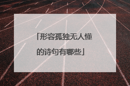 形容孤独无人懂的诗句有哪些