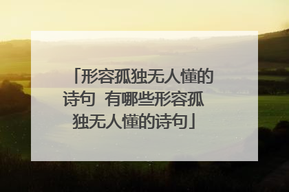 形容孤独无人懂的诗句 有哪些形容孤独无人懂的诗句