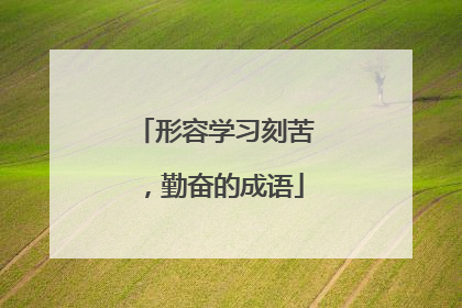 形容学习刻苦,勤奋的成语