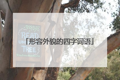 形容外貌的四字词语