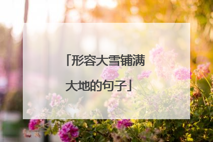 形容大雪铺满大地的句子