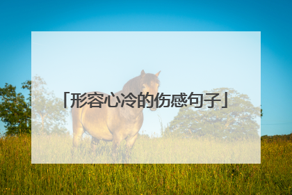 形容心冷的伤感句子