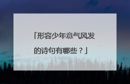 形容少年意气风发的诗句有哪些?
