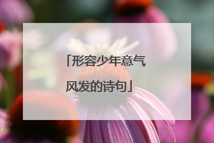 形容少年意气风发的诗句