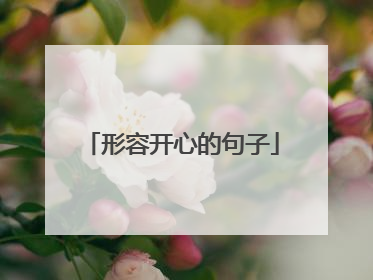 形容开心的句子
