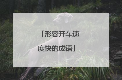 形容开车速度快的成语