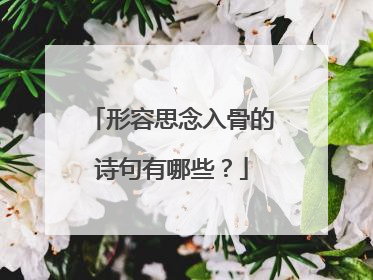 形容思念入骨的诗句有哪些?