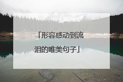 形容感动到流泪的唯美句子