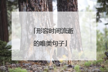 形容时间流逝的唯美句子