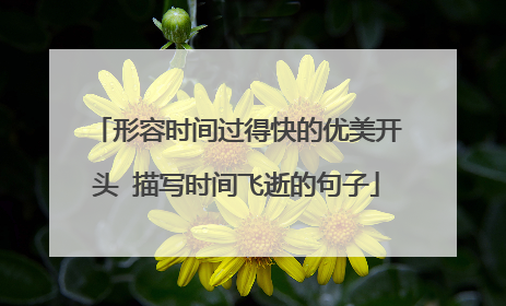 形容时间过得快的优美开头 描写时间飞逝的句子