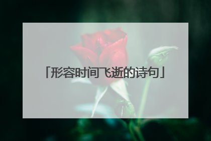 形容时间飞逝的诗句