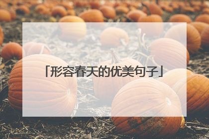 形容春天的优美句子