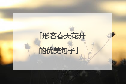 形容春天花开的优美句子