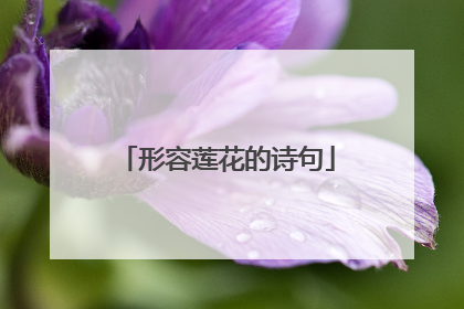 形容莲花的诗句