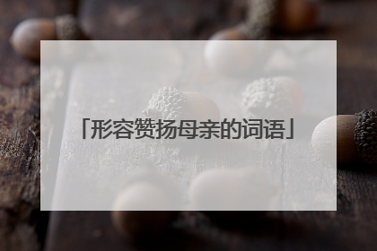 形容赞扬母亲的词语