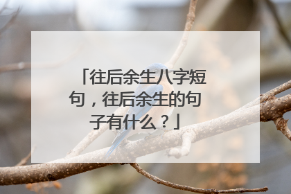 往后余生八字短句,往后余生的句子有什么?