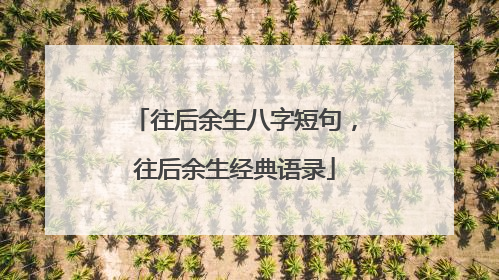 往后余生八字短句，往后余生经典语录