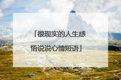 很现实的人生感悟说说心情短语